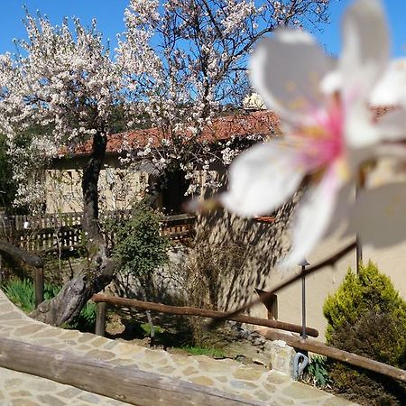 Gasthaus Valdolazaro Los Navalucillos Exterior foto